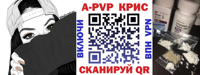 A-PVP СК КРИС  Ленинск-Кузнецкий 