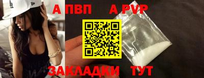 СК Кингисепп