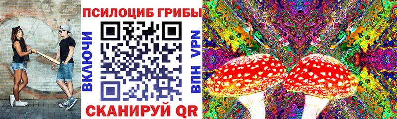 Галлюциногенные грибы Cubensis  Ленинск-Кузнецкий 