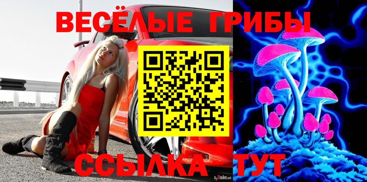 Галлюциногенные грибы ЛСД Ленинск-Кузнецкий