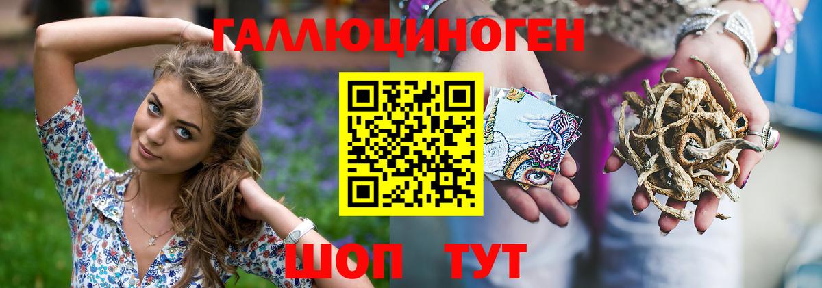 Галлюциногенные грибы Psilocybine cubensis  Вход с VPN  Ленинск-Кузнецкий 